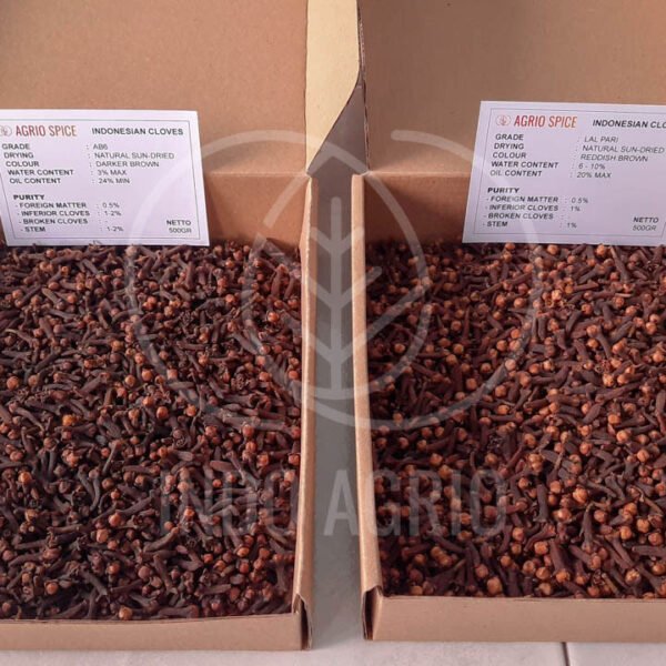 indonesia cloves supplier spices indonesia indoagrio indospice 1