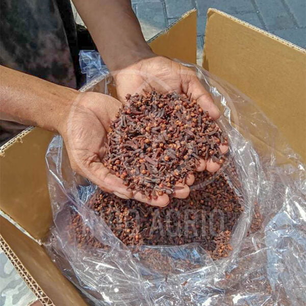 indonesia cloves supplier spices indonesia indoagrio indospice 3