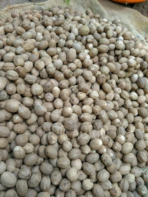 nutmeg supplier indonesia producer exporter indoagrio 7
