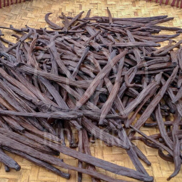 vanilla beans indonesia spices wholesale supplier exporter indoagrio indospice 1