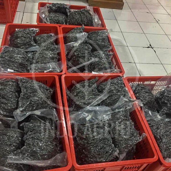 vanilla beans indonesia spices wholesale supplier exporter indoagrio indospice 2