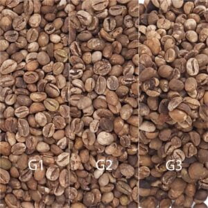 Robusta Green Coffee Beans