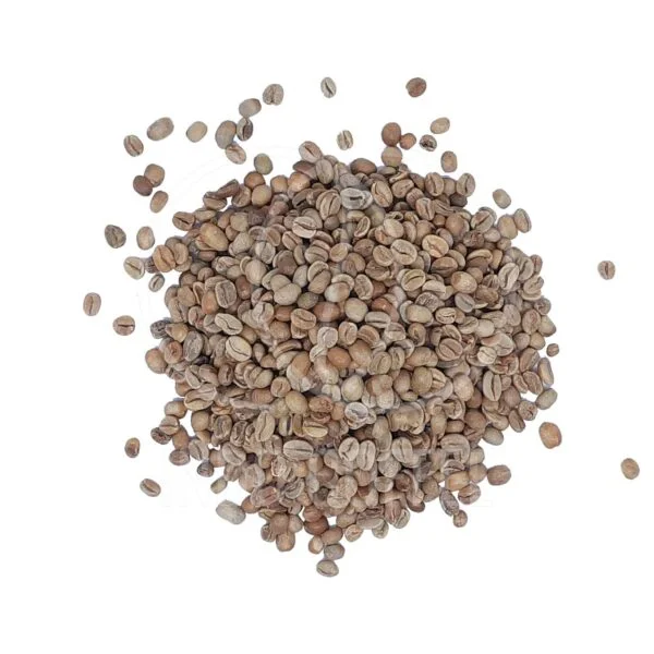 Arabica Green Coffee Beans - Image 2