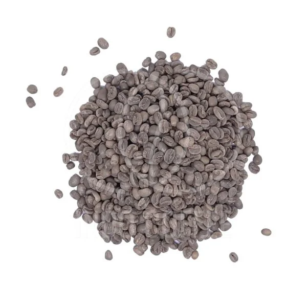 Arabica Green Coffee Beans - Image 3