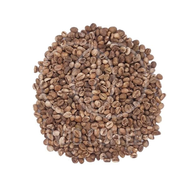 robusta coffee beans bali kintamani grade 1
