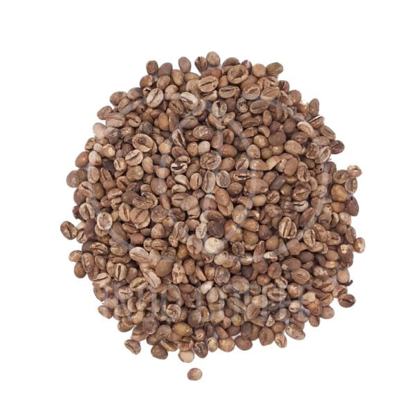 robusta coffee beans bali kintamani grade 2