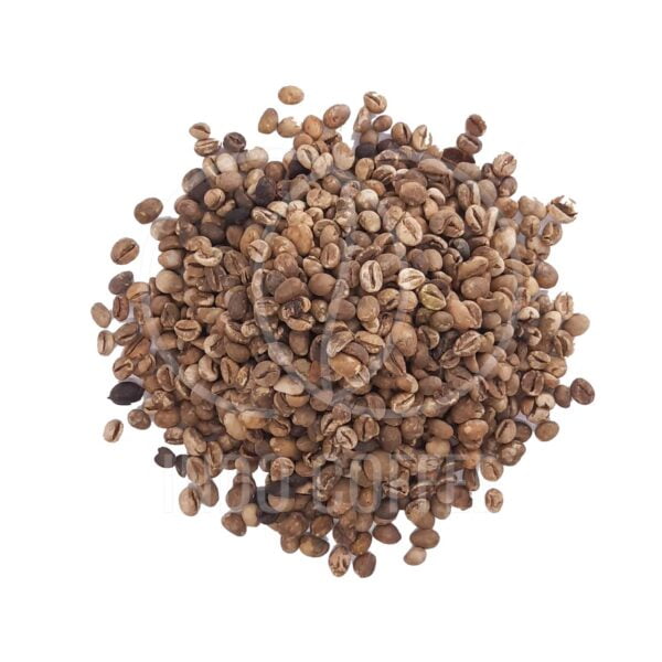 robusta coffee beans bali kintamani grade 3