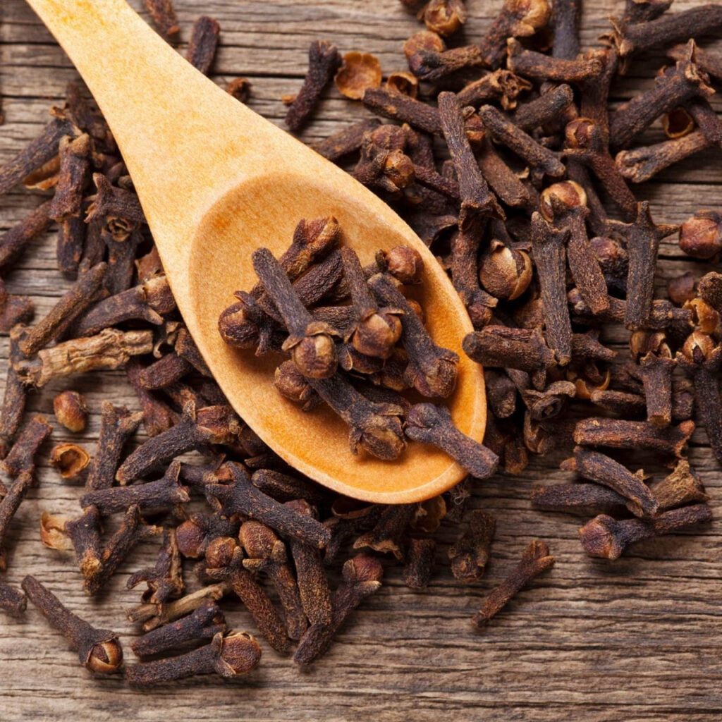 Indonesia Spices cloves