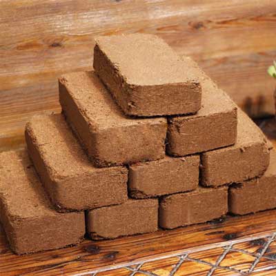 Indonesia Coconut coco peat block
