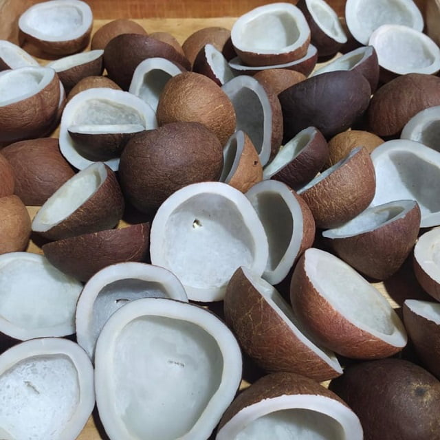 Indonesia Coconut copra