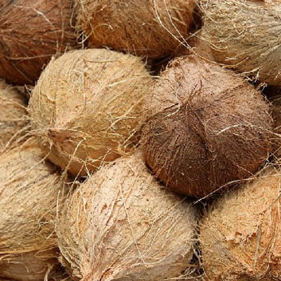 Indonesia Coconut husked coconut