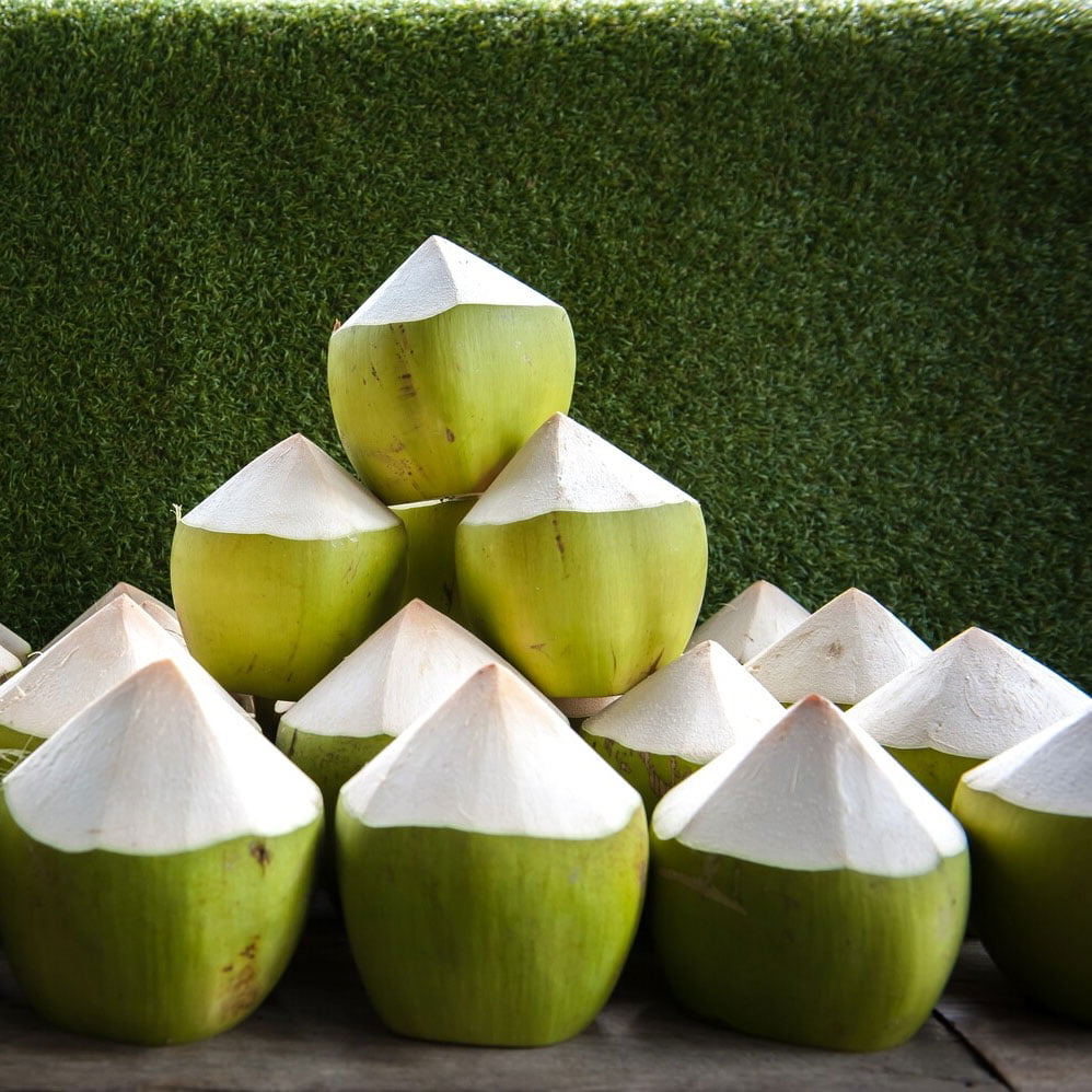 Indonesia Coconut young coconut