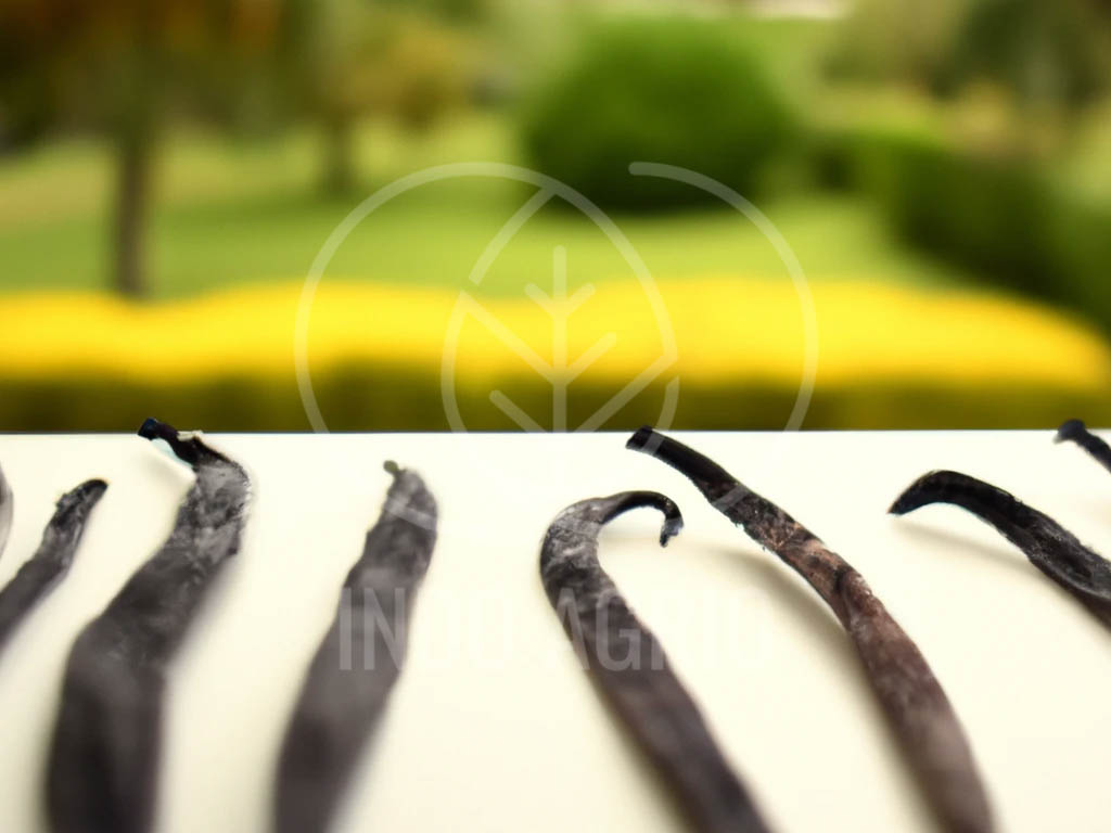 A Guide to 8 Different Vanilla Bean Varieties and Their Flavor Profiles