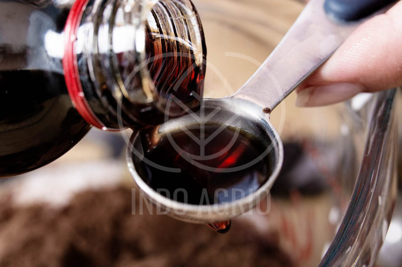 Understanding Artificial Vanilla Everything You Need to Know • INDO AGRIO