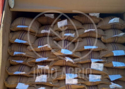 INDO AGRIO export shipment indoagrio