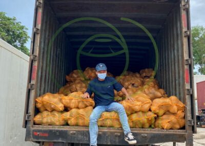 indo coconut semi husked