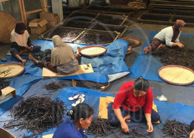 Investment vanilla processing