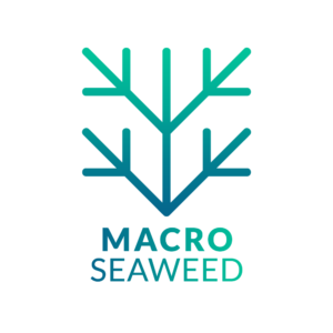 Macro Seaweed