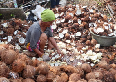 Investment coconut farmer