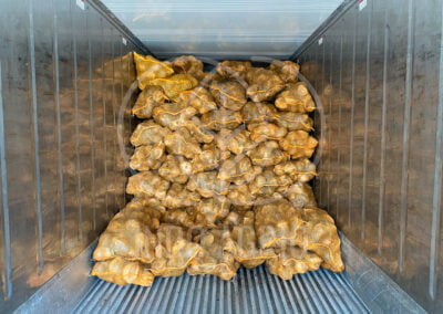 INDO AGRIO semi husked coconut exporter