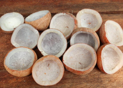 INDO AGRIO white copra indonesia